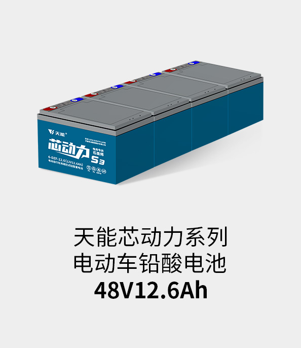 俄罗斯·专享会电池48v12ah