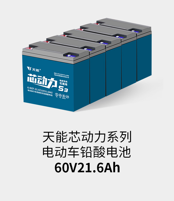 俄罗斯·专享会电池60v20ah