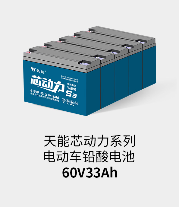 俄罗斯·专享会电池60v33ah