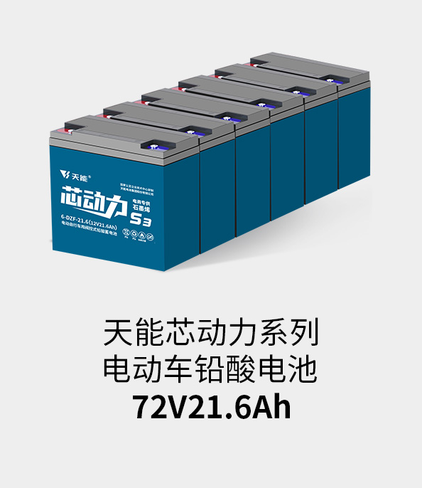 俄罗斯·专享会电池72v20ah