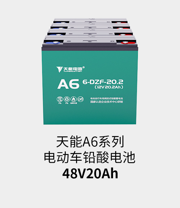 俄罗斯·专享会电池48v20ah