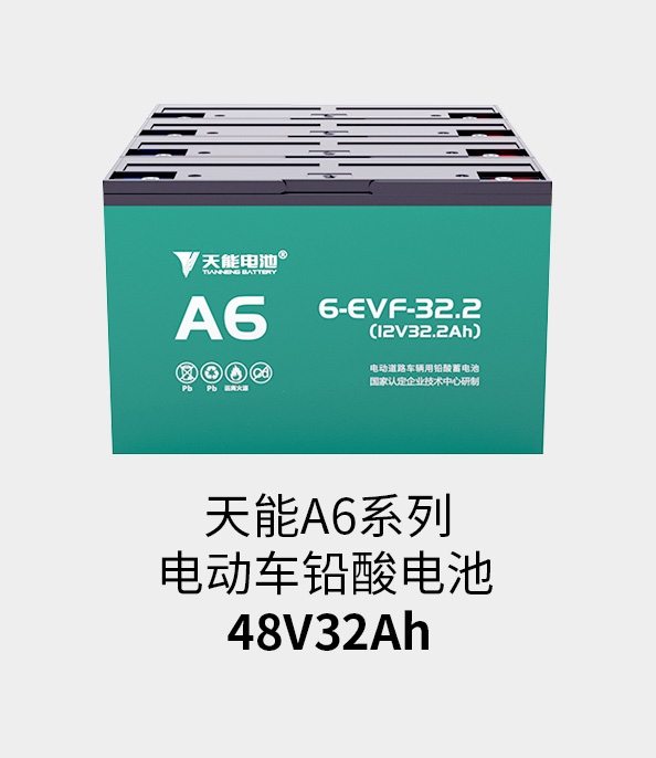 俄罗斯·专享会电池48v32ah