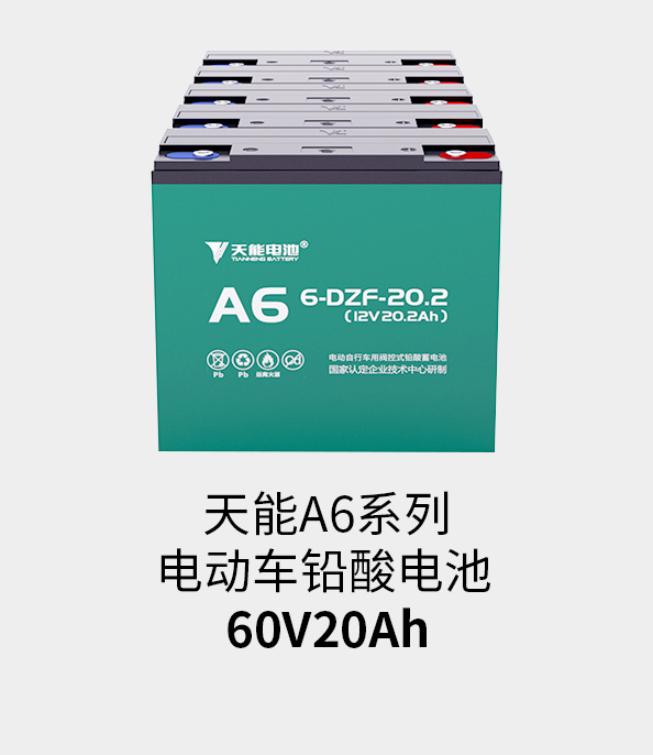 俄罗斯·专享会电池60v20ah