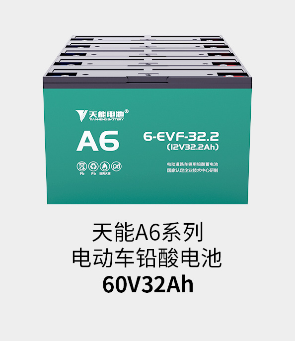 俄罗斯·专享会电池60v33ah