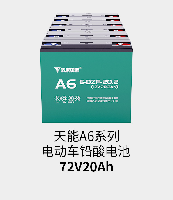 俄罗斯·专享会电池72v20ah