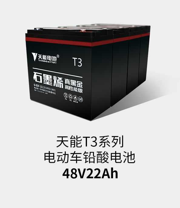 俄罗斯·专享会T3系列48v22ah