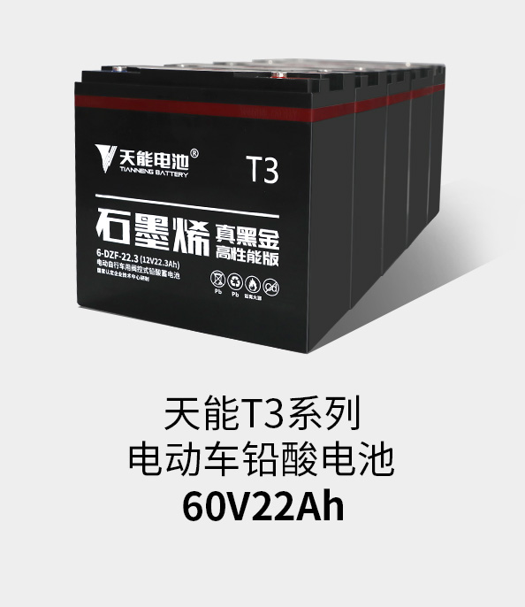 俄罗斯·专享会T3系列60v22ah