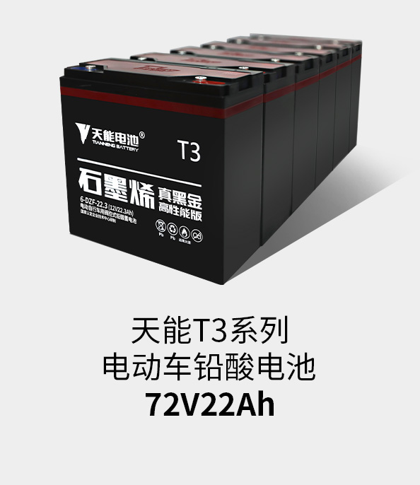 俄罗斯·专享会T3系列72v22ah