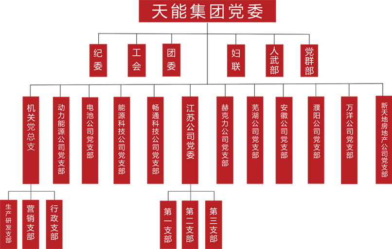 俄罗斯·专享会建团党委组织架构